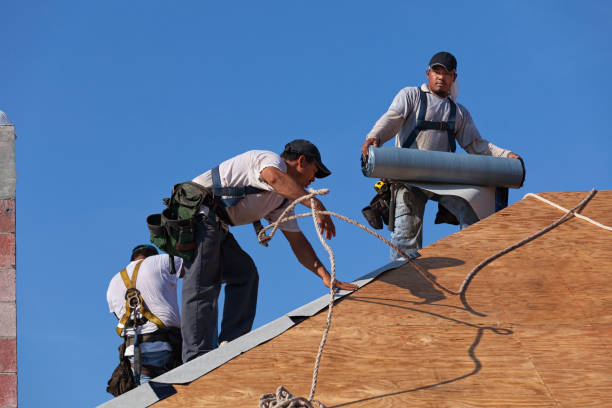 Roof Repair Estimates in Maplewood, MO